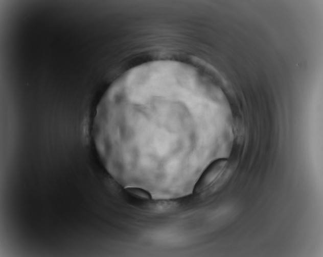 X0000087610670200705181256