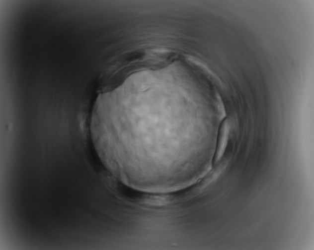 X0000087610671200705181256