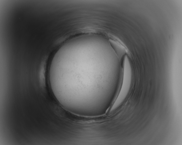 X0000087610675200705181255