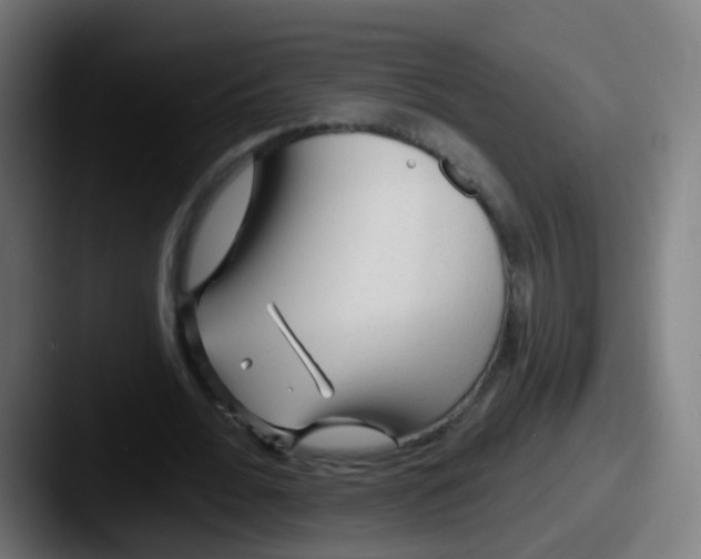 X0000087610676200705181255