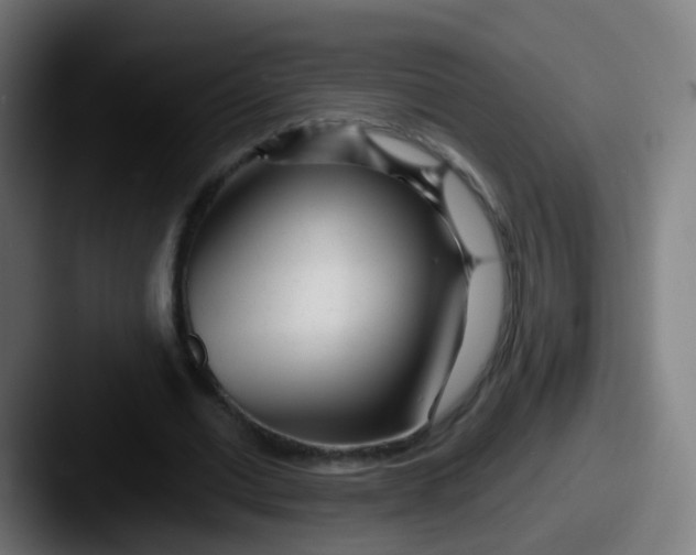 X0000087610677200705181255