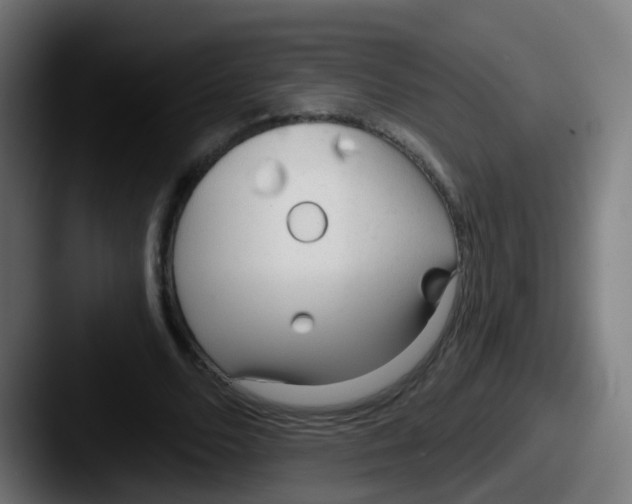 X0000087610680200705181255