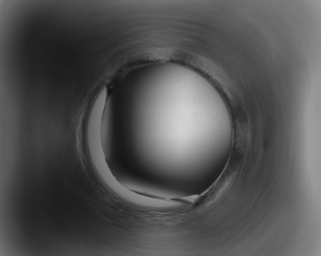 X0000087610681200705181255