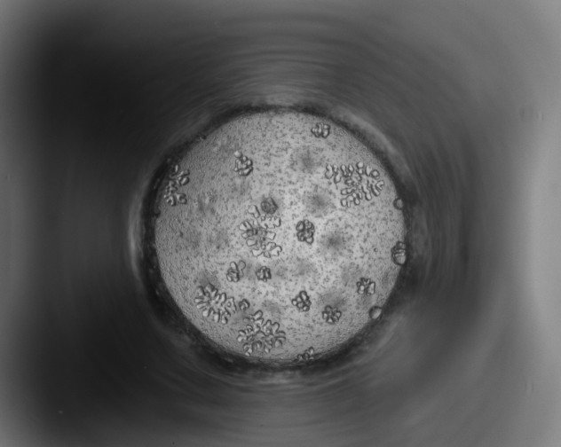 X0000087610683200705181255