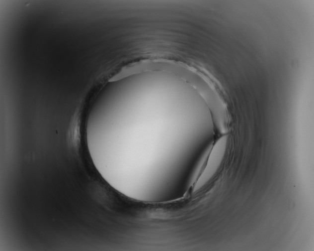 X0000087610685200705181255