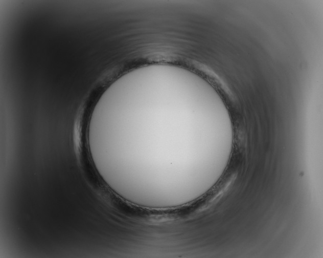 X0000087610686200705181255