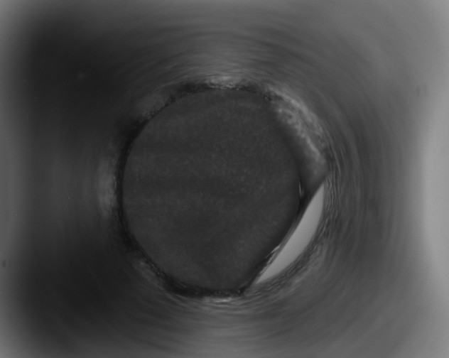 X0000087610689200705181255