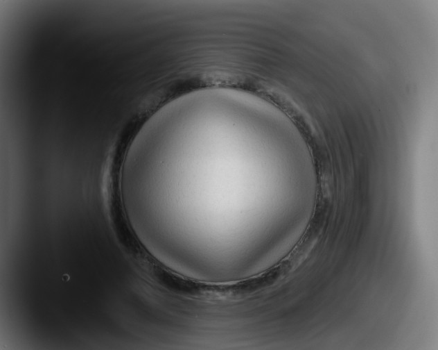 X0000087610690200705181255