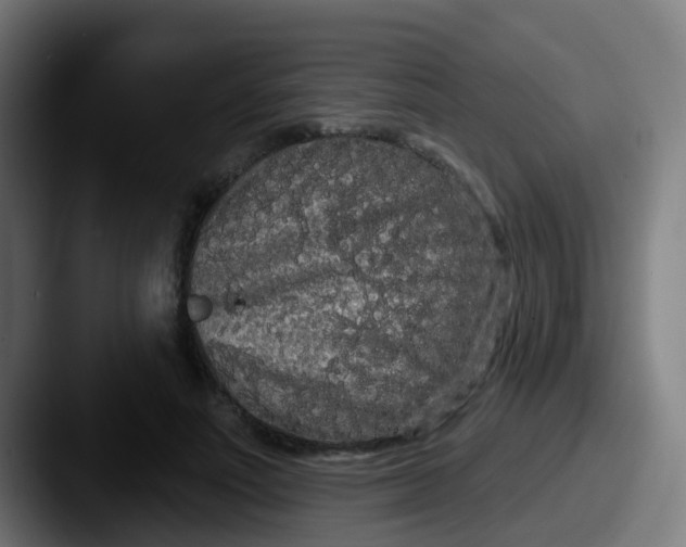 X0000087610691200705181255