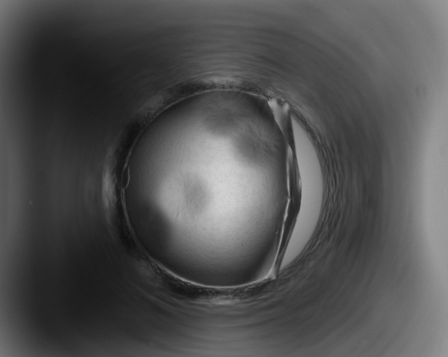 X0000087610692200705181255