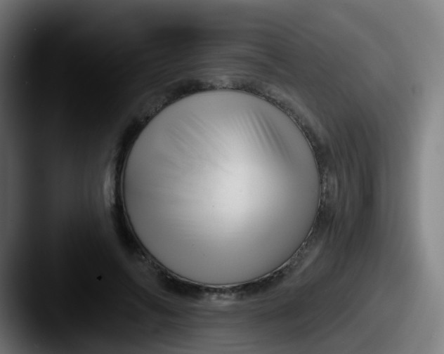 X0000087610694200705181255