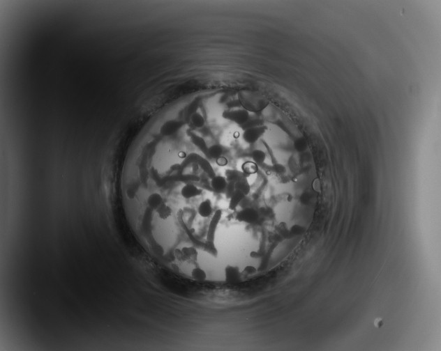 X0000087610695200705181255