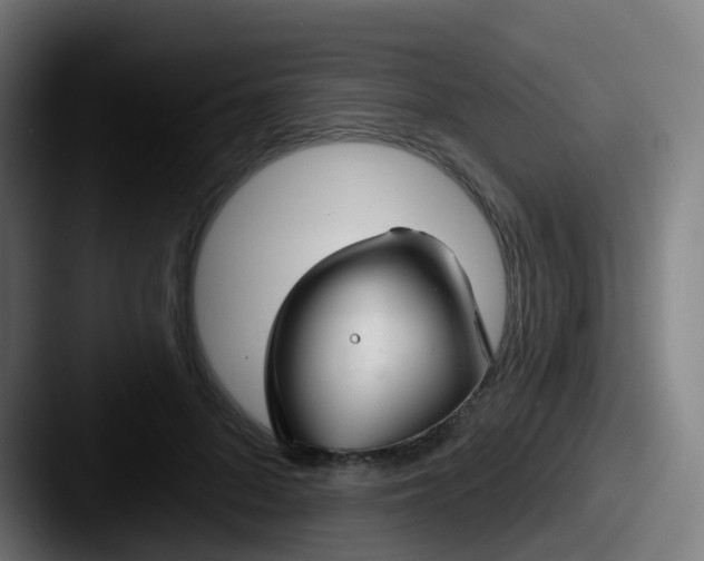 X0000087610696200705181255