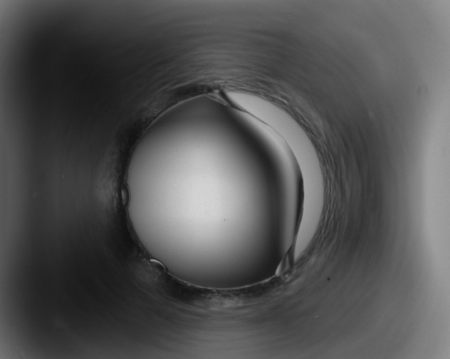 X0000087610697200705181255