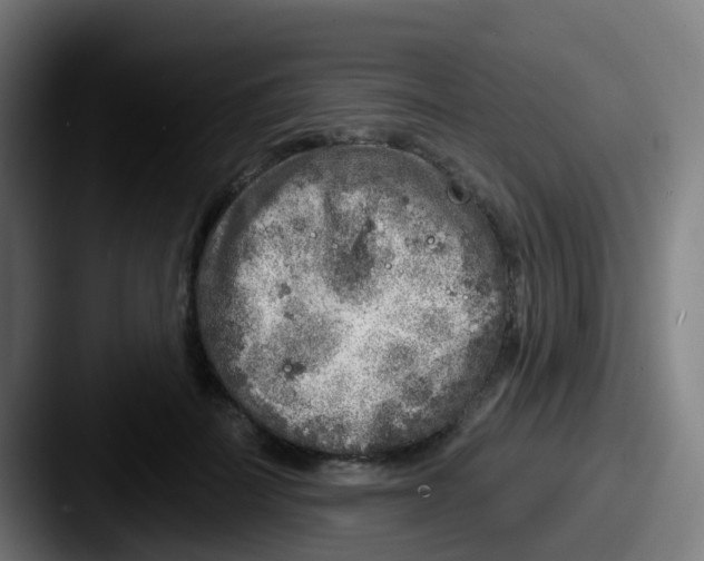 X0000087610699200705181255