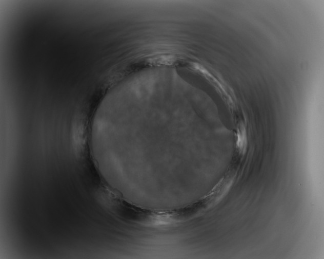 X0000087610701200705181255