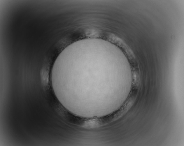 X0000087610705200705181255