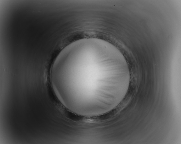 X0000087610706200705181255