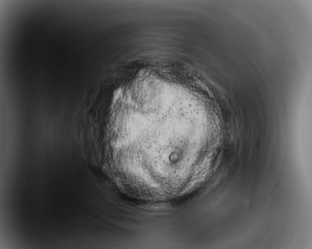 X0000087610711200705181255