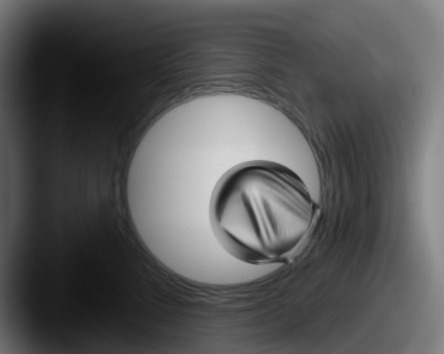 X0000087610712200705181255