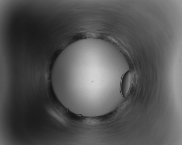 X0000087610714200705181255