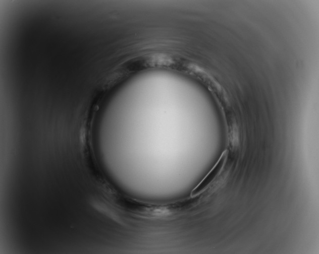 X0000087610715200705181255