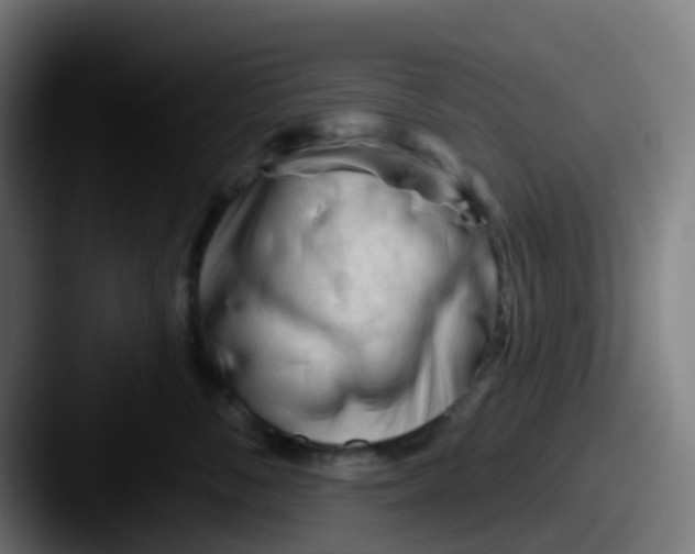 X0000087610716200705181255