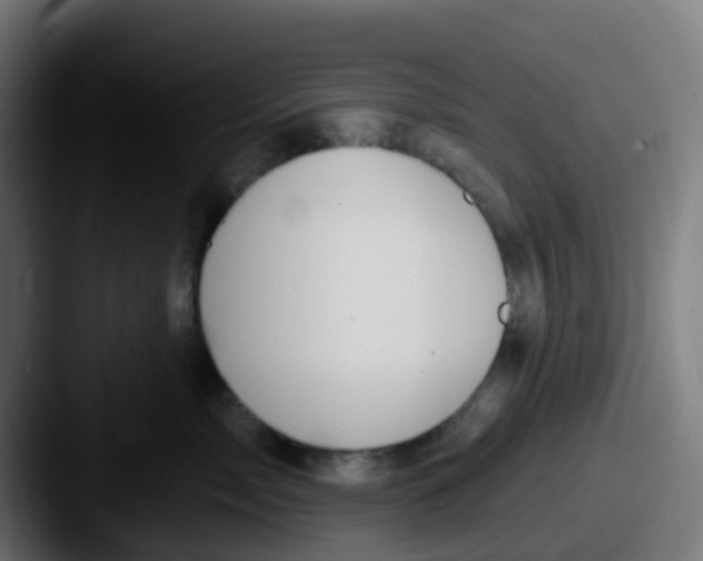 X0000087610717200705181255