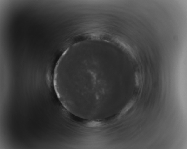 X0000087610718200705181255