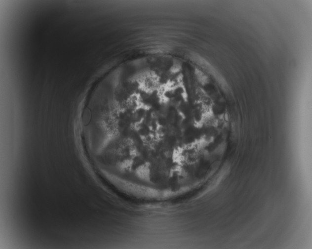 X0000087610721200705181254