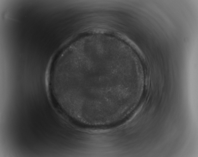 X0000087610722200705181254