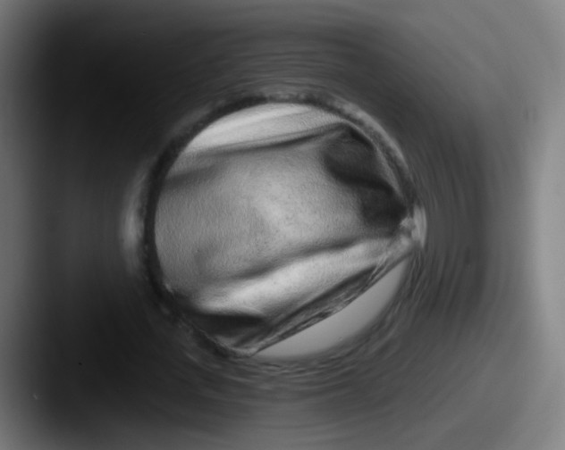 X0000087610723200705181254