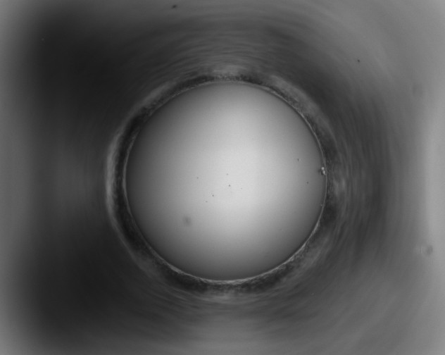 X0000087610728200705181254