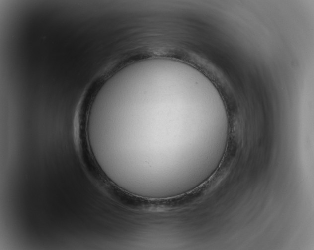 X0000087610730200705181254