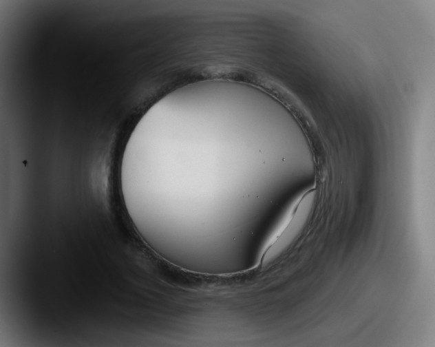 X0000087610732200705181254