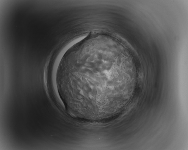 X0000087610734200705181255