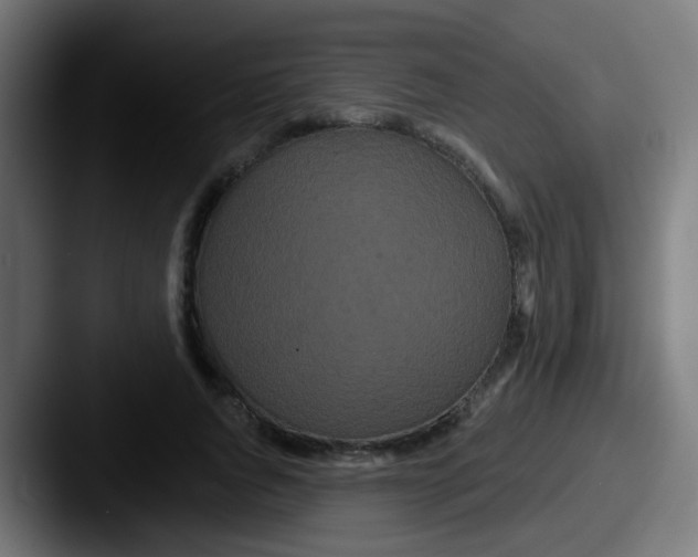 X0000087610736200705181255