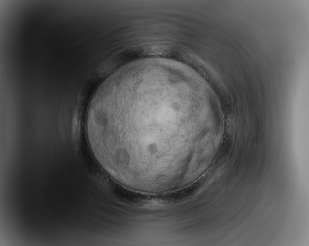 X0000087610741200705181255