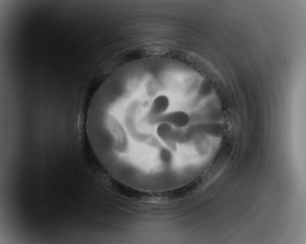 X0000087610745200705181255