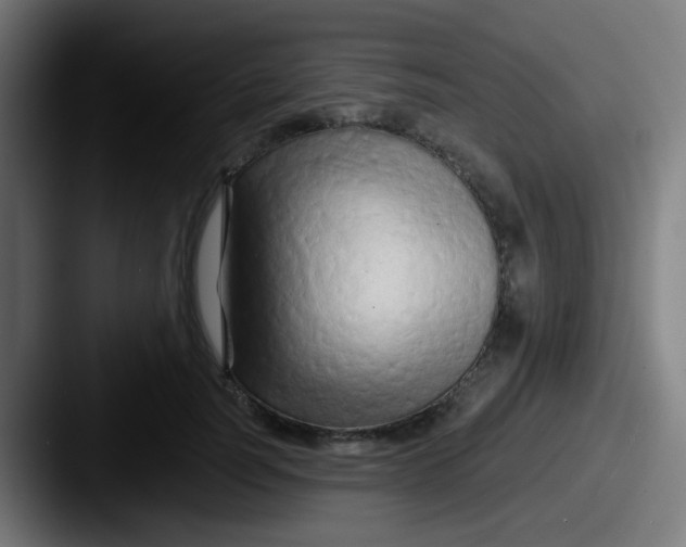 X0000087610746200705181255