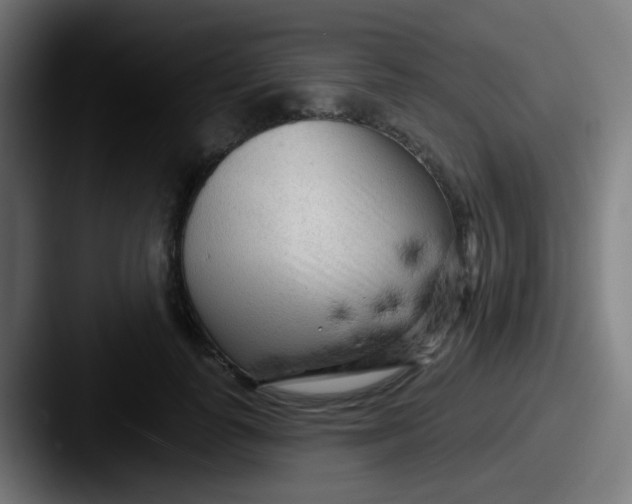 X0000087610747200705181255