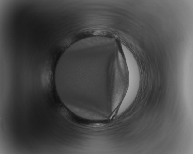 X0000087610748200705181255