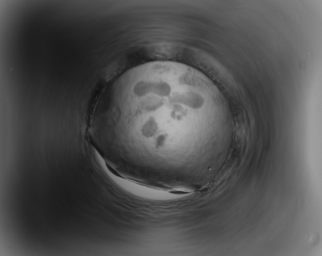 X0000087610749200705181255