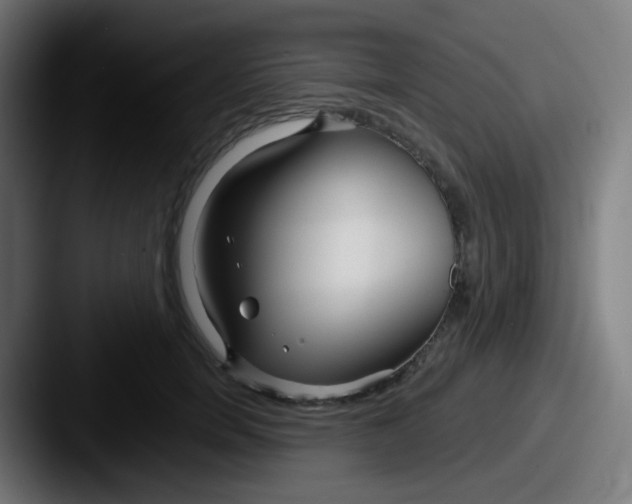 X0000087610750200705181255