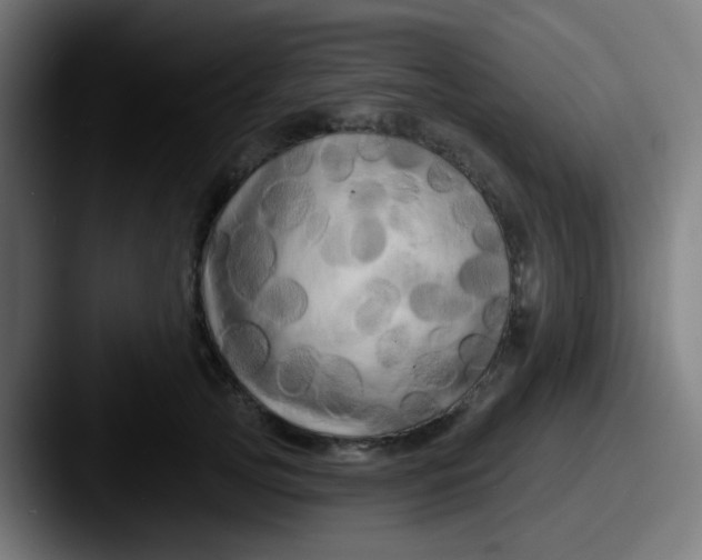 X0000087610753200705181255