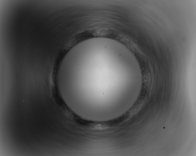 X0000087610755200705181255