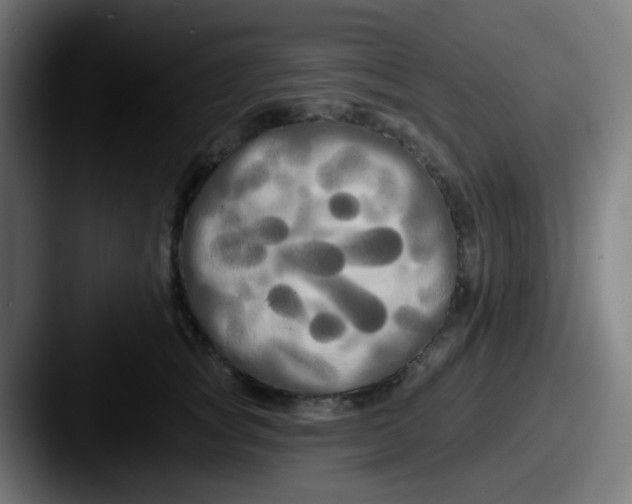 X0000087610757200705181255