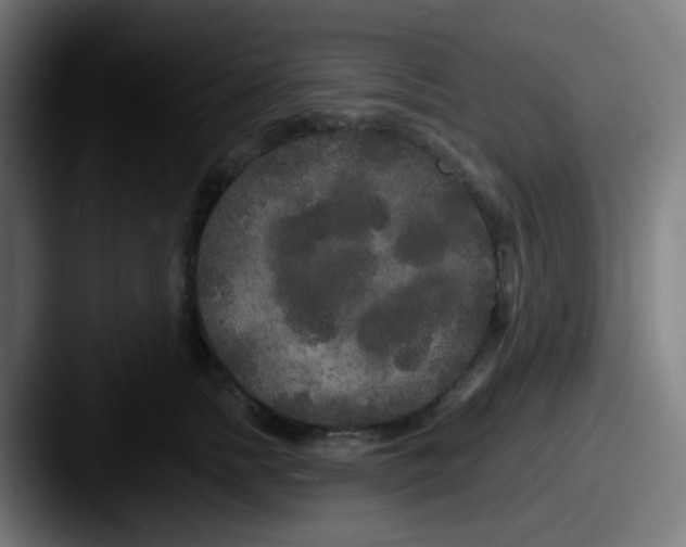 X0000087610758200705181255