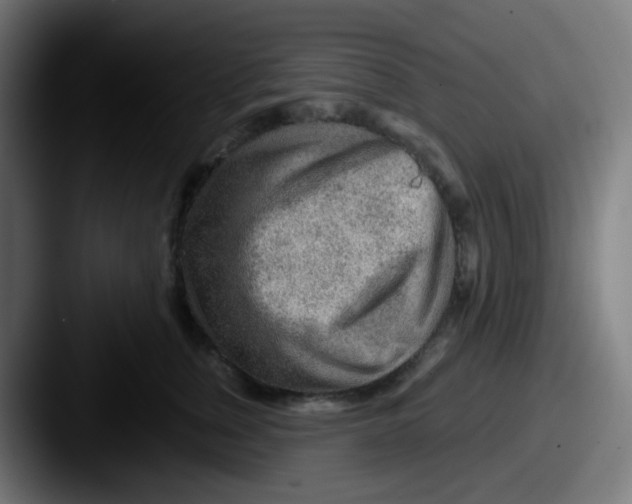 X0000087610759200705181255