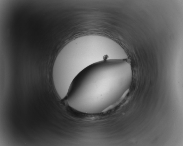 X0000087610760200705181255